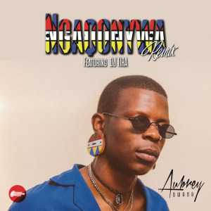 Aubrey Qwana Ngaqonywa Remix ft. DJ Tira mp3 download